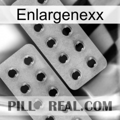 Enlargenexx 29